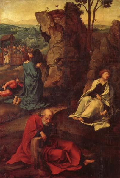 The Agony in the Garden, COECKE VAN AELST, Pieter